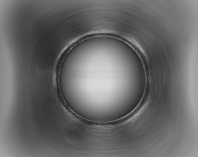 X0000115590781200911171029