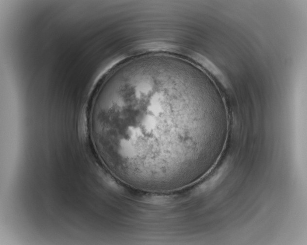 X0000115590782200911171029