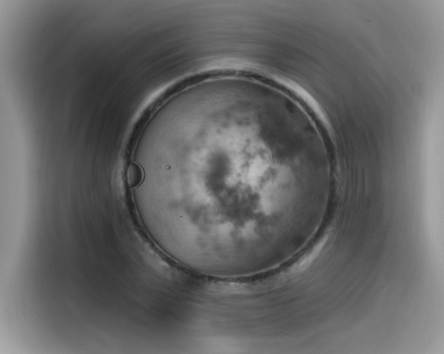 X0000115590783200911171029
