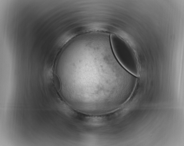 X0000115590785200911171029