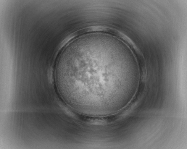 X0000115590786200911171029
