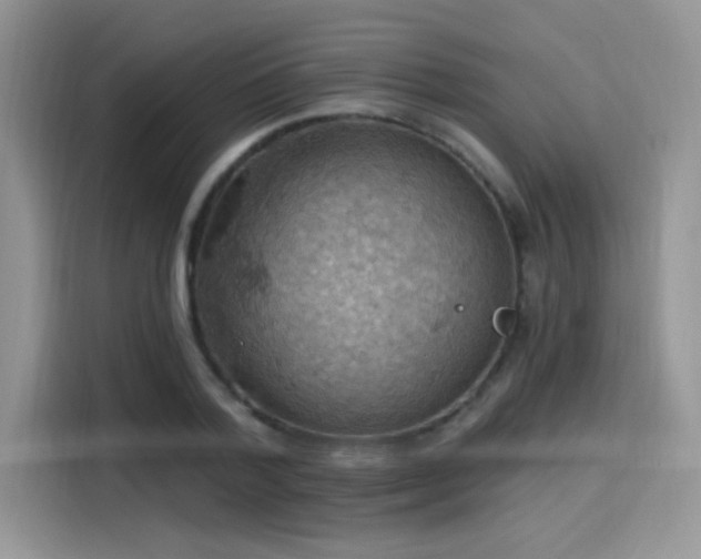 X0000115590788200911171029