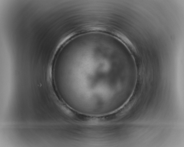 X0000115590790200911171029