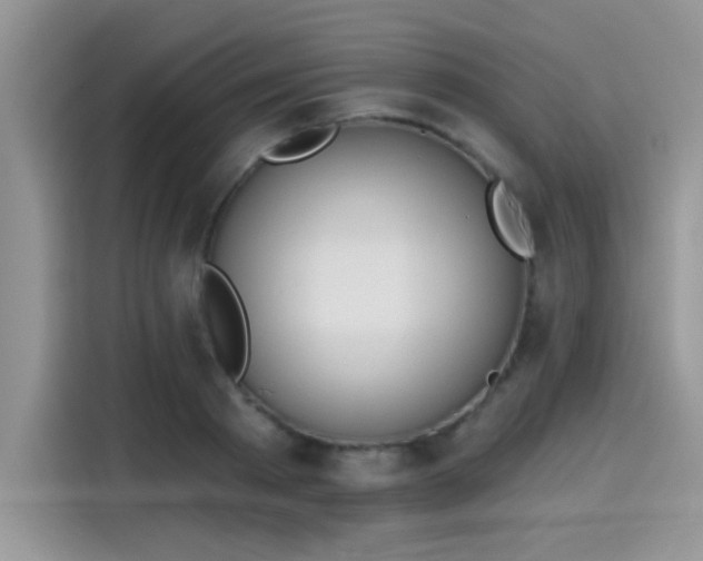 X0000115590793200911171029