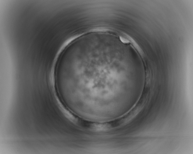 X0000115590795200911171029