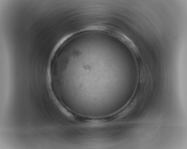 X0000115590796200911171029