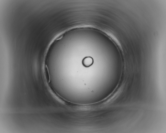 X0000115590797200911171029