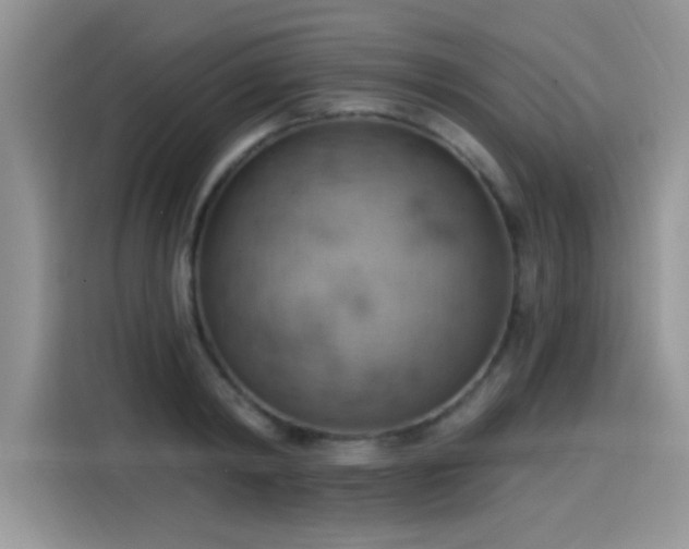X0000115590798200911171029