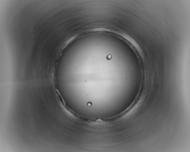 X0000115590801200911171028