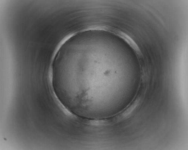 X0000115590804200911171028