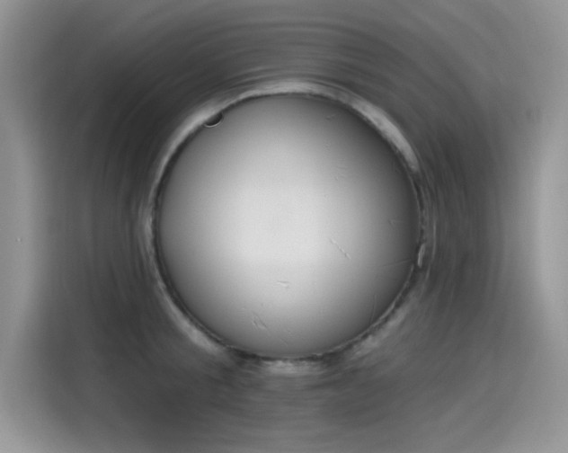 X0000115590805200911171028