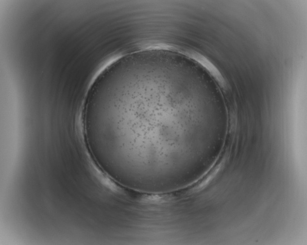 X0000115590806200911171028