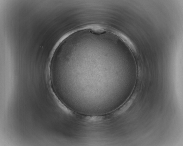 X0000115590808200911171028