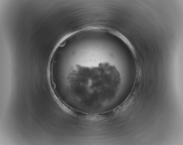 X0000115590811200911171028