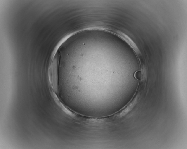 X0000115590812200911171028