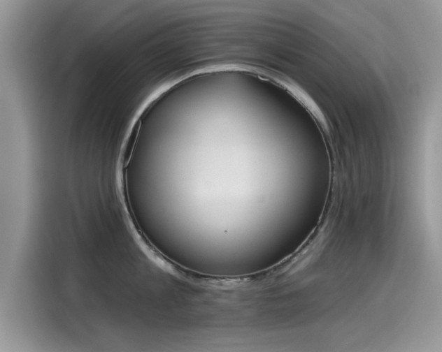 X0000115590813200911171028