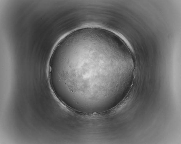 X0000115590815200911171028