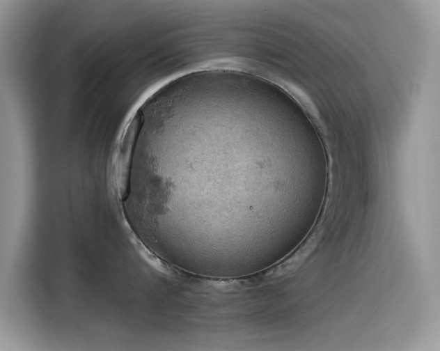 X0000115590816200911171028