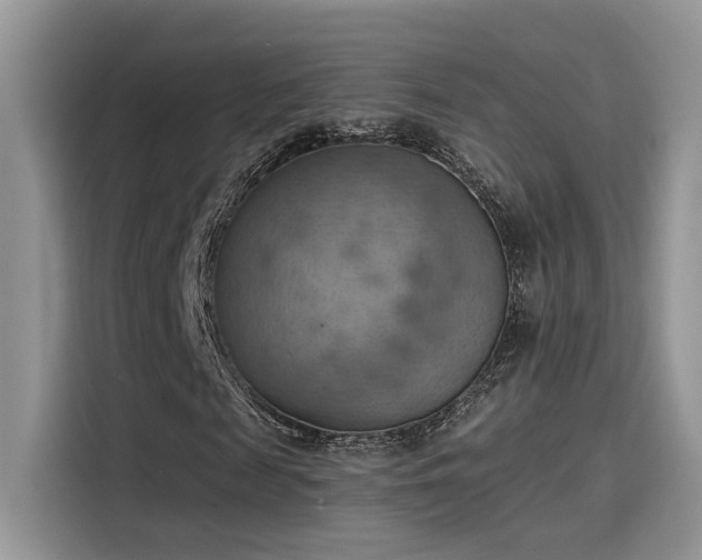 X0000115590817200911171028