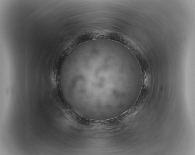 X0000115590819200911171028