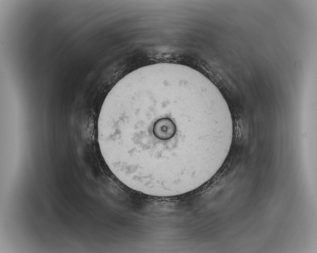 X0000115590820200911171028