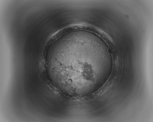 X0000115590822200911171028