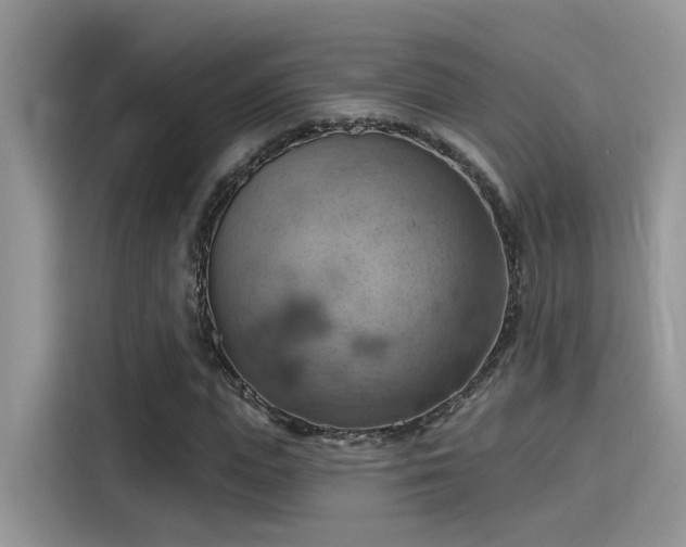 X0000115590823200911171028