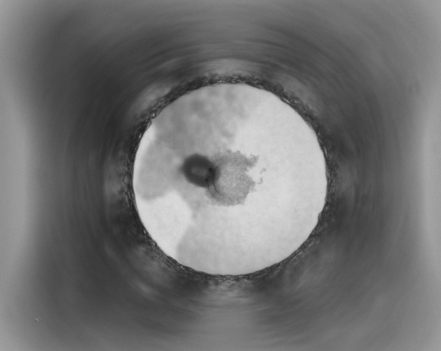 X0000115590824200911171028
