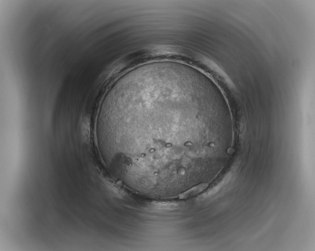 X0000115590825200911171028