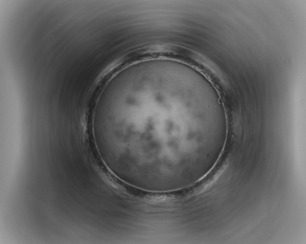 X0000115590826200911171028