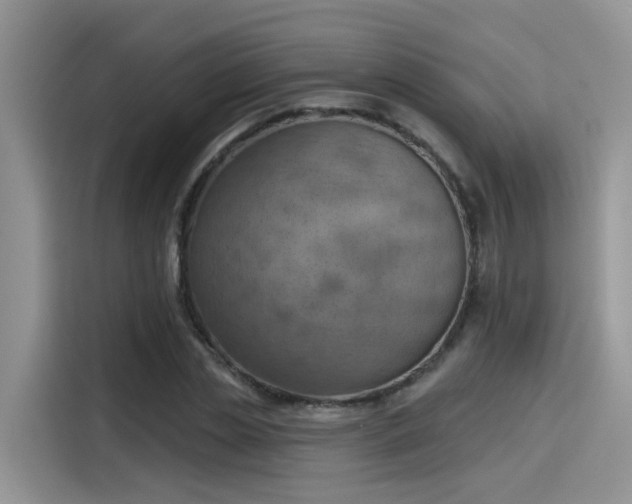 X0000115590829200911171028