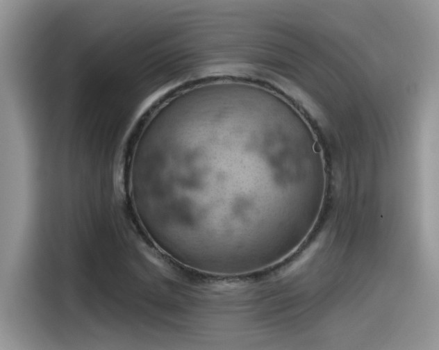 X0000115590830200911171028