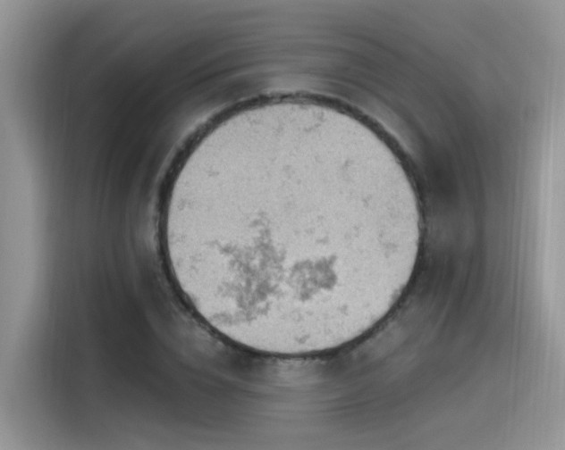 X0000115590832200911171028