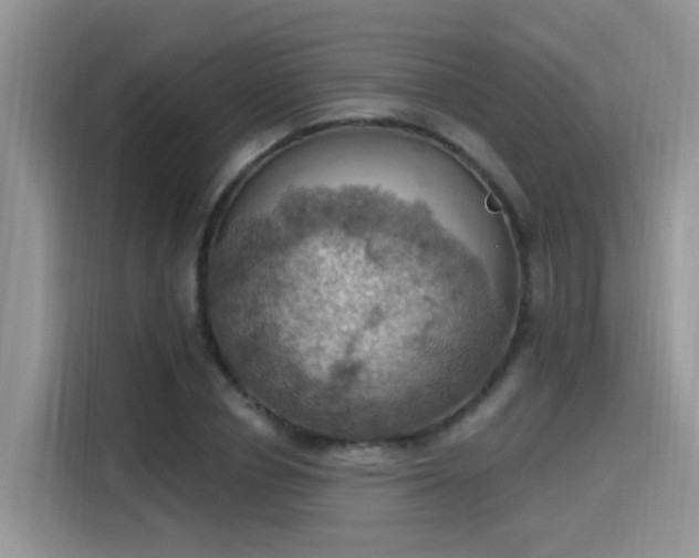 X0000115590834200911171028