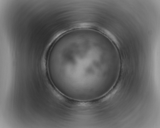 X0000115590835200911171028
