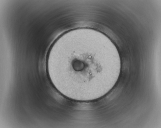 X0000115590836200911171028