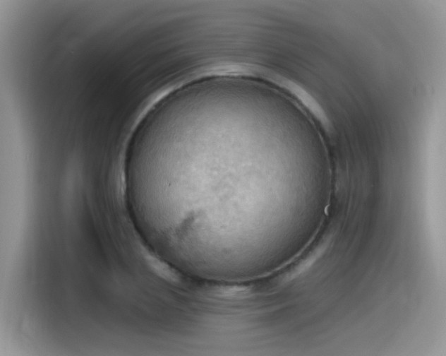 X0000115590837200911171028
