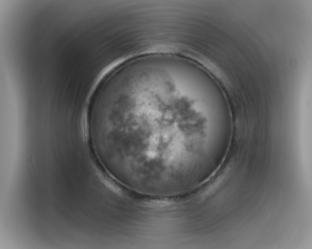 X0000115590838200911171028