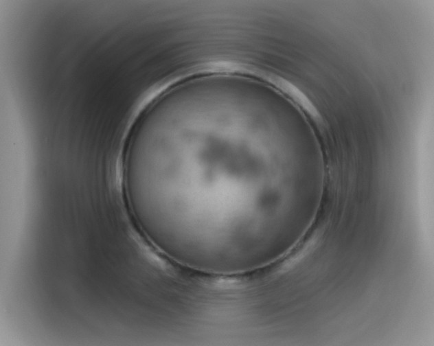 X0000115590839200911171028