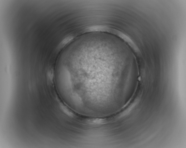 X0000115590841200911171028