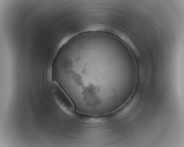 X0000115590842200911171028