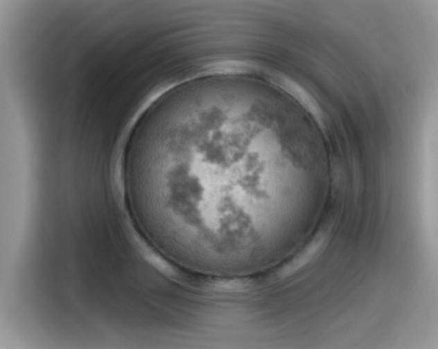 X0000115590843200911171028