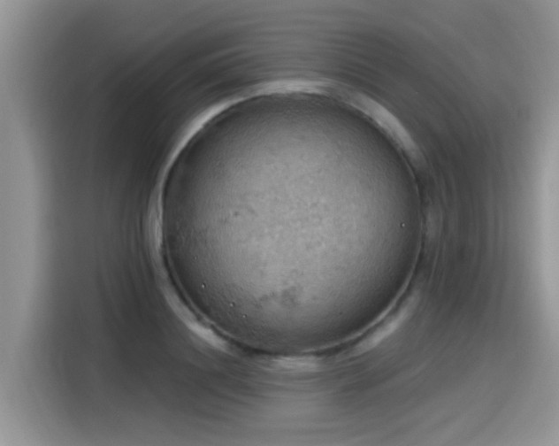 X0000115590844200911171028