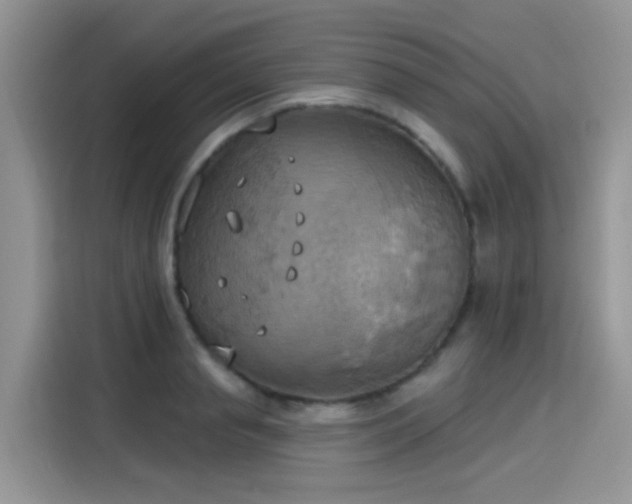X0000115590845200911171028