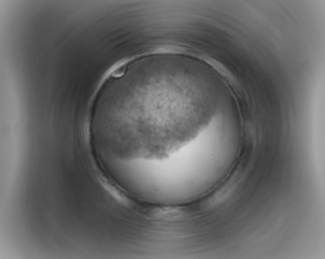 X0000115590846200911171028