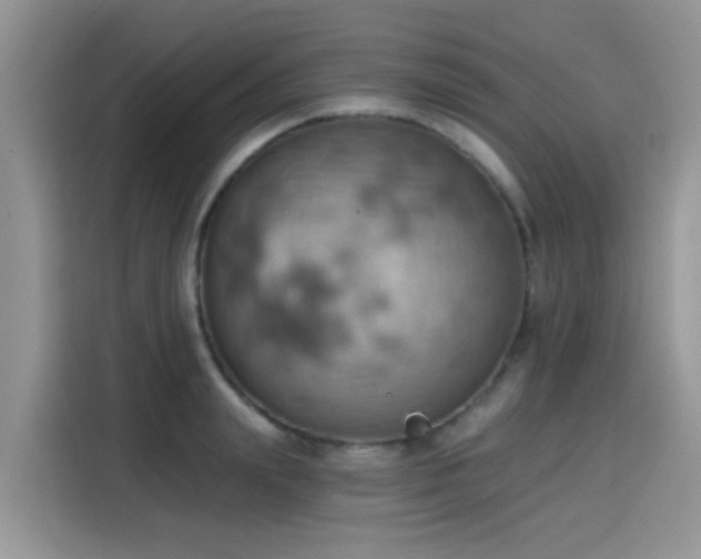 X0000115590847200911171028