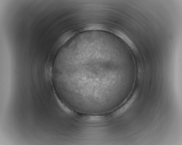 X0000115590849200911171028
