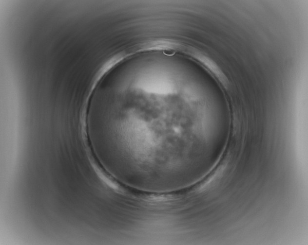 X0000115590850200911171028