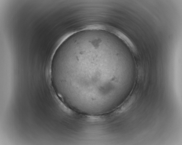 X0000115590852200911171028