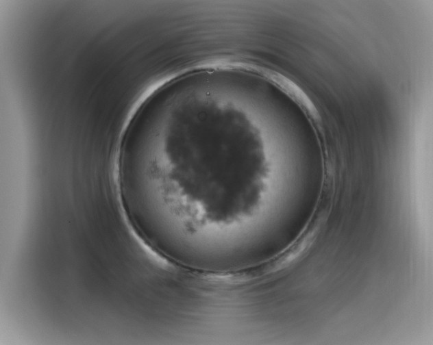 X0000115590855200911171028
